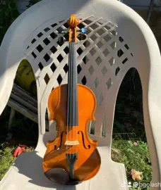 Violin — completed setup